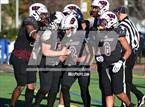 Photo from the gallery "Bloomfield @ Windsor"