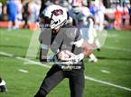 Photo from the gallery "Bloomfield @ Windsor"