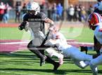 Photo from the gallery "Bloomfield @ Windsor"