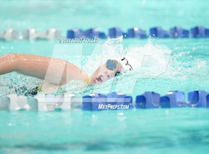 Thumbnail 2 in Fraser vs. Lutheran North (Titan Relays) photogallery.