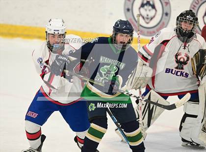 Thumbnail 3 in Northeastern CoOp @ E.O. Smith/Tolland photogallery.