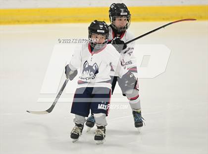 Thumbnail 1 in Northeastern CoOp @ E.O. Smith/Tolland photogallery.