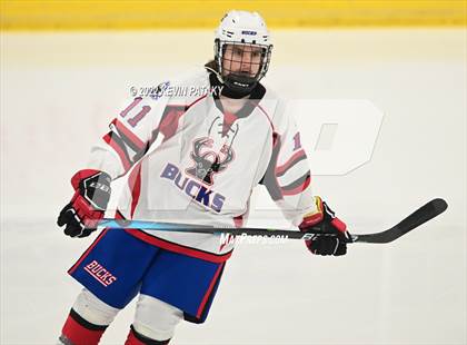 Thumbnail 3 in Northeastern CoOp @ E.O. Smith/Tolland photogallery.
