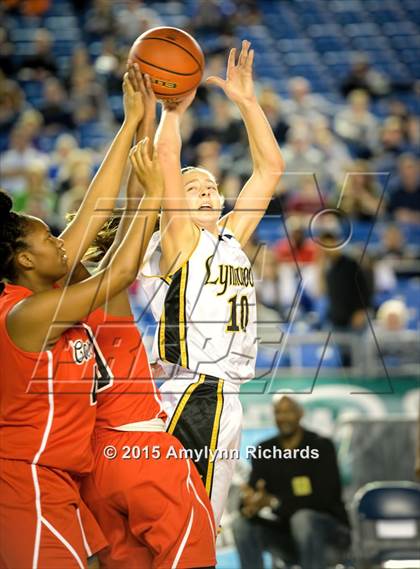 Thumbnail 1 in Cleveland vs. Lynnwood (WIAA 3A State) photogallery.