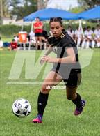 Photo from the gallery "Ben Lomond @ Kearns"