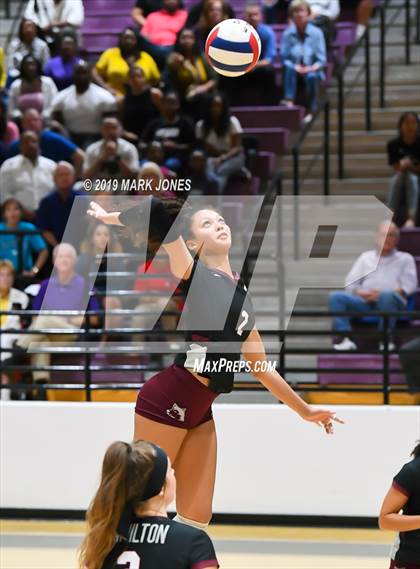 Thumbnail 1 in Basha @ Hamilton photogallery.