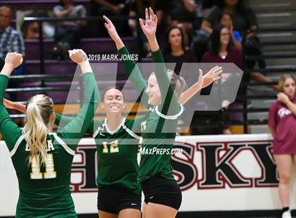 Thumbnail 1 in Basha @ Hamilton photogallery.