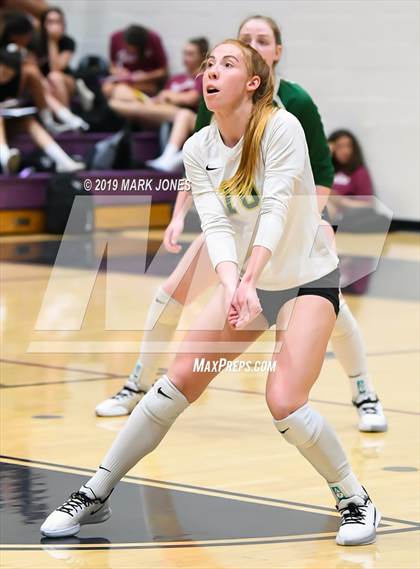 Thumbnail 3 in Basha @ Hamilton photogallery.