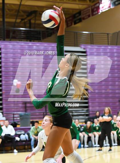 Thumbnail 1 in Basha @ Hamilton photogallery.