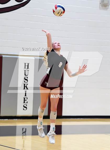 Thumbnail 2 in Basha @ Hamilton photogallery.