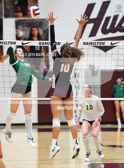 Thumbnail 3 in Basha @ Hamilton photogallery.