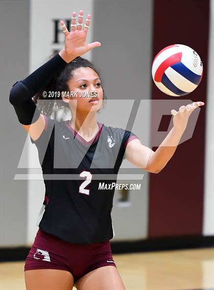 Thumbnail 1 in Basha @ Hamilton photogallery.