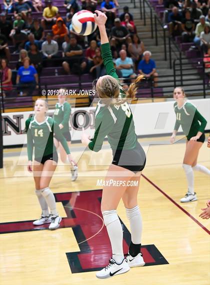 Thumbnail 3 in Basha @ Hamilton photogallery.