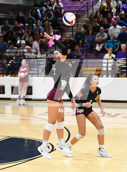 Thumbnail 1 in Basha @ Hamilton photogallery.