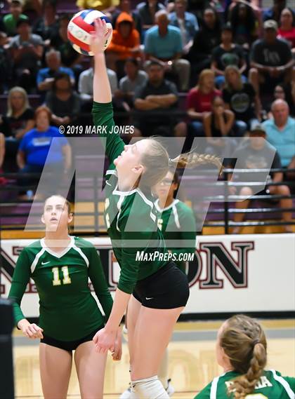 Thumbnail 2 in Basha @ Hamilton photogallery.