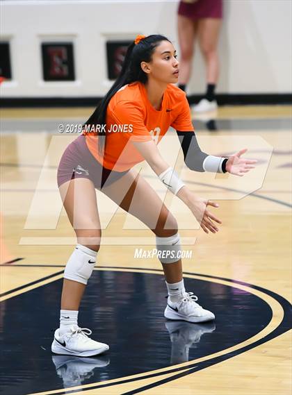 Thumbnail 1 in Basha @ Hamilton photogallery.
