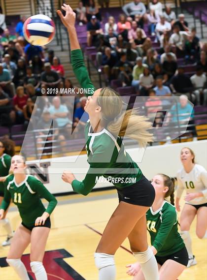Thumbnail 1 in Basha @ Hamilton photogallery.