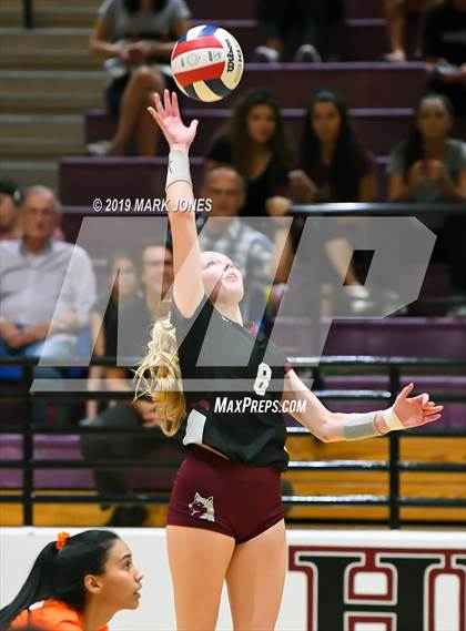 Thumbnail 3 in Basha @ Hamilton photogallery.