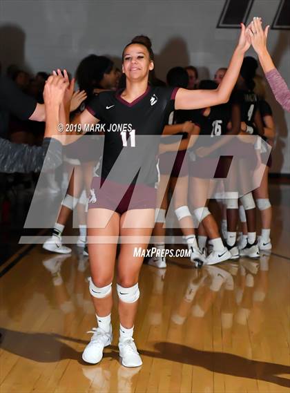 Thumbnail 1 in Basha @ Hamilton photogallery.