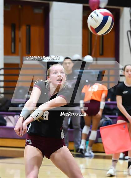 Thumbnail 2 in Basha @ Hamilton photogallery.
