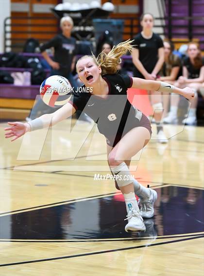 Thumbnail 3 in Basha @ Hamilton photogallery.