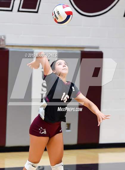 Thumbnail 1 in Basha @ Hamilton photogallery.