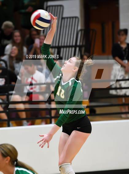 Thumbnail 2 in Basha @ Hamilton photogallery.
