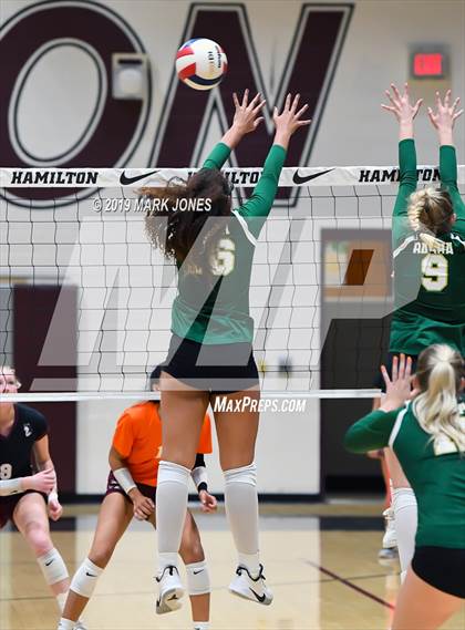Thumbnail 2 in Basha @ Hamilton photogallery.