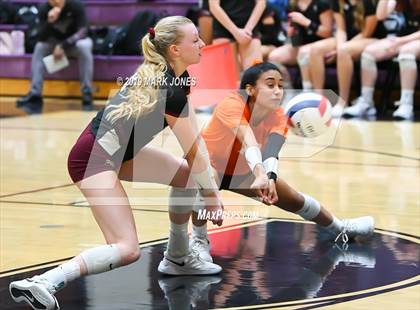 Thumbnail 1 in Basha @ Hamilton photogallery.