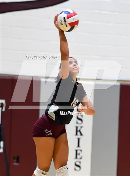 Thumbnail 2 in Basha @ Hamilton photogallery.