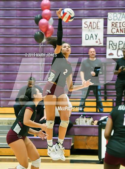 Thumbnail 1 in Basha @ Hamilton photogallery.