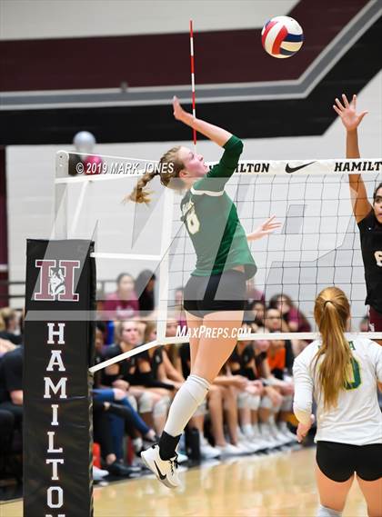 Thumbnail 3 in Basha @ Hamilton photogallery.