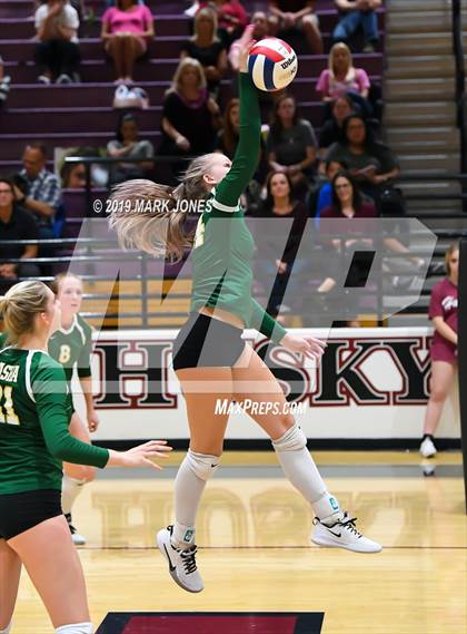 Thumbnail 1 in Basha @ Hamilton photogallery.