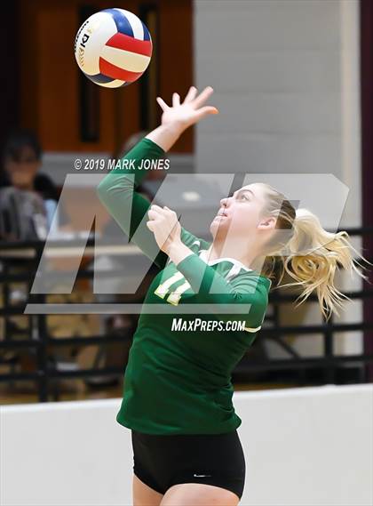 Thumbnail 2 in Basha @ Hamilton photogallery.