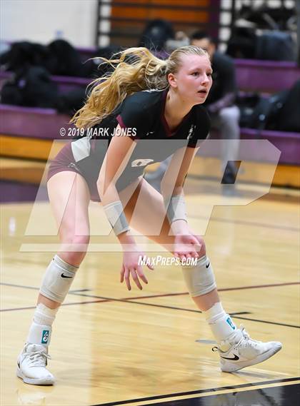 Thumbnail 2 in Basha @ Hamilton photogallery.