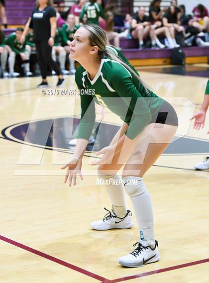 Thumbnail 2 in Basha @ Hamilton photogallery.