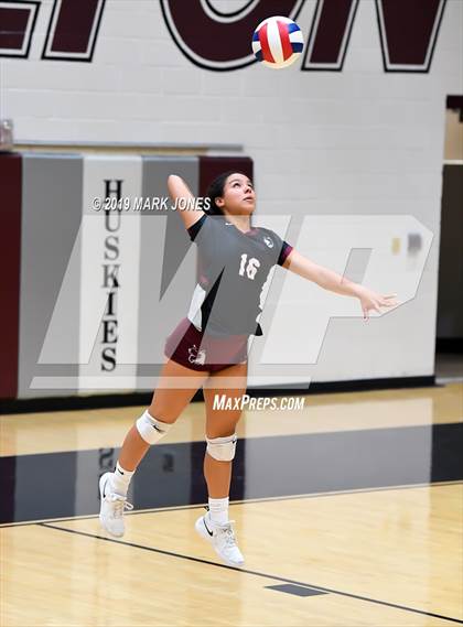 Thumbnail 3 in Basha @ Hamilton photogallery.