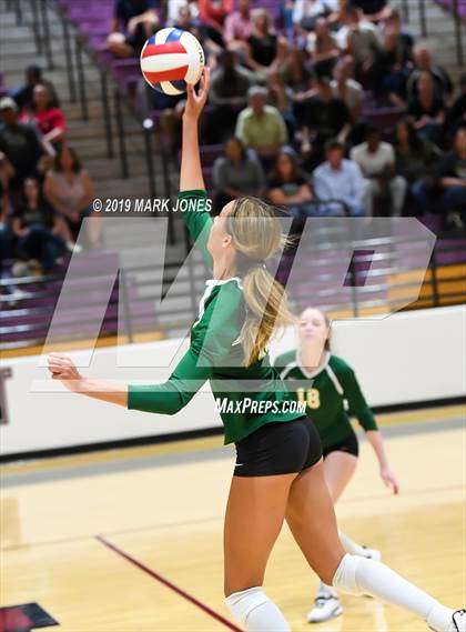 Thumbnail 3 in Basha @ Hamilton photogallery.