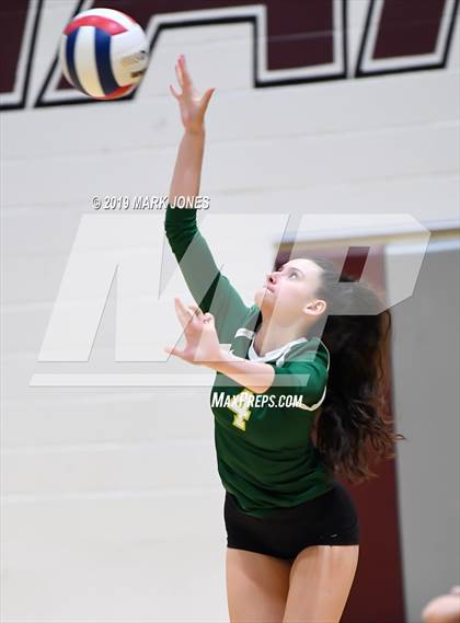 Thumbnail 2 in Basha @ Hamilton photogallery.