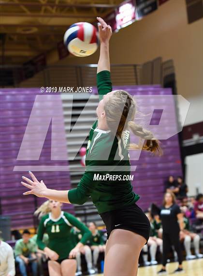 Thumbnail 1 in Basha @ Hamilton photogallery.