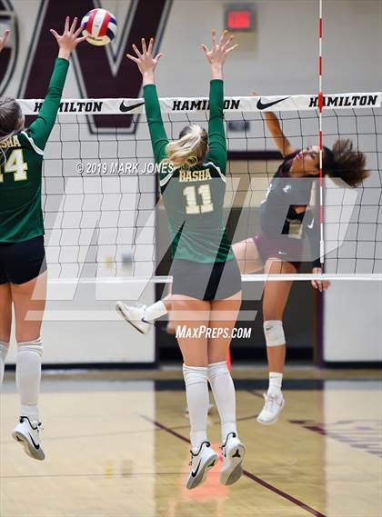 Thumbnail 2 in Basha @ Hamilton photogallery.