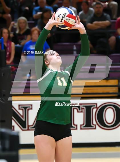 Thumbnail 1 in Basha @ Hamilton photogallery.
