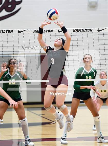 Thumbnail 2 in Basha @ Hamilton photogallery.