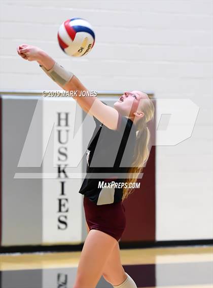 Thumbnail 1 in Basha @ Hamilton photogallery.