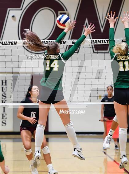 Thumbnail 3 in Basha @ Hamilton photogallery.