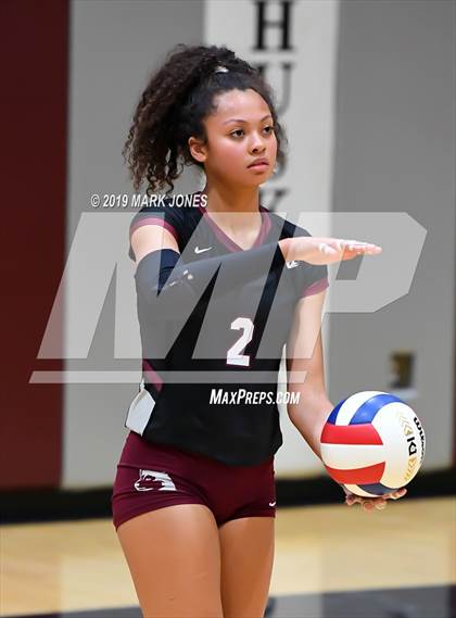 Thumbnail 3 in Basha @ Hamilton photogallery.