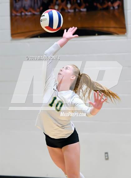 Thumbnail 3 in Basha @ Hamilton photogallery.