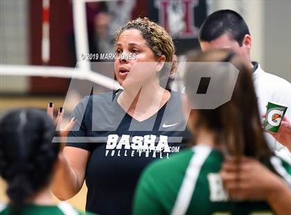 Thumbnail 2 in Basha @ Hamilton photogallery.