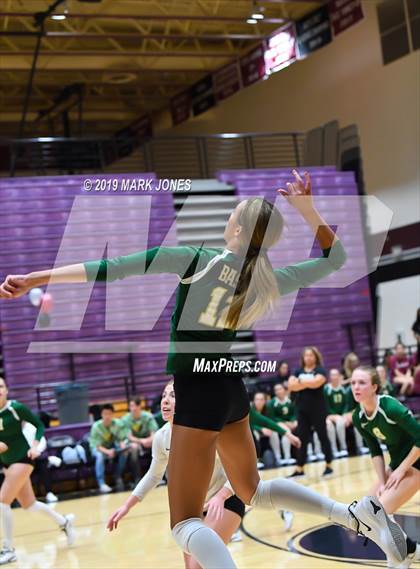 Thumbnail 3 in Basha @ Hamilton photogallery.