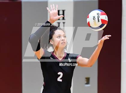 Thumbnail 2 in Basha @ Hamilton photogallery.
